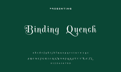 Elegant Font Uppercase Lowercase and Number. Classic Lettering Minimal Fashion Designs. Typography modern serif fonts regular decorative vintage concept. vector illustration