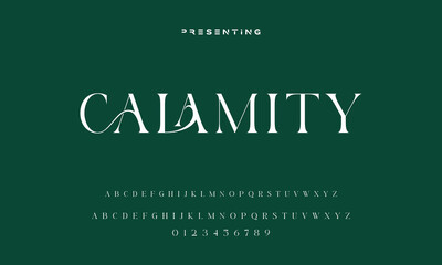 Elegant Font Uppercase Lowercase and Number. Classic Lettering Minimal Fashion Designs. Typography modern serif fonts regular decorative vintage concept. vector illustration