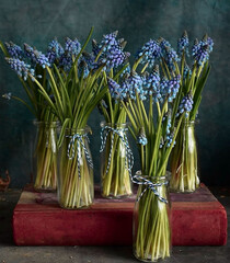 Spring decoration, tulips, daffodils, crocuses in wedge baskets on the background of a spring garden