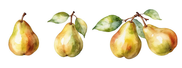 Watercolor Illustrations of Pears with Leaves on Transparent Background