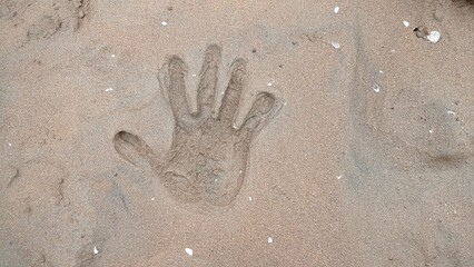 photo of adult palm prints on Wonokerto beach, Pekalongan