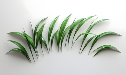 Fototapeta premium Lush green grass blades arranged in a curve on white background.