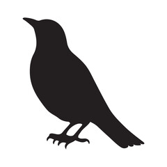 Starling bird silhouettes vector illustration, Common Starling Clipart, Starling silhouette, European starling illustration in black and white