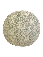 Melon sweet fruit white background
