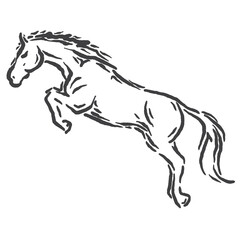 simple vector sketch of a wild horse running