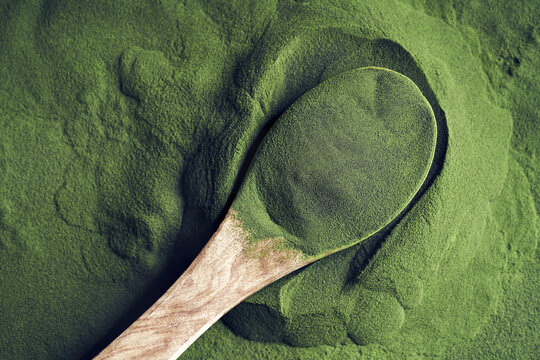 Green chlorella algae powder on a spoon
