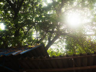 Daily Rental Guesthouse Exterior View