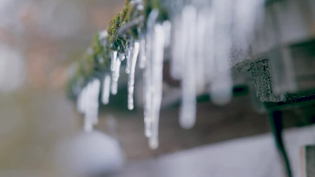 An icicle row hanging from old moss covered asbestos roof