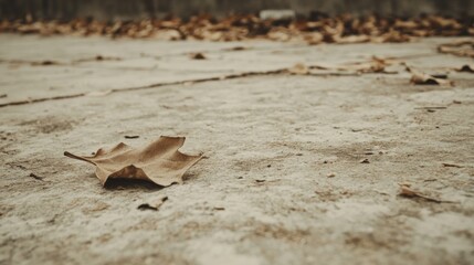 Single brown leaf on concrete ground with blurred fallen leaves in background.
