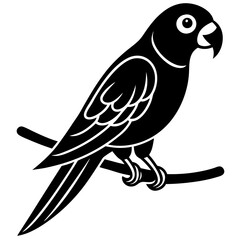 bird on a branch
