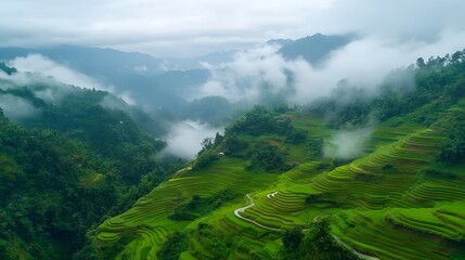 Lush Green Rice Terraces in Misty Mountains
