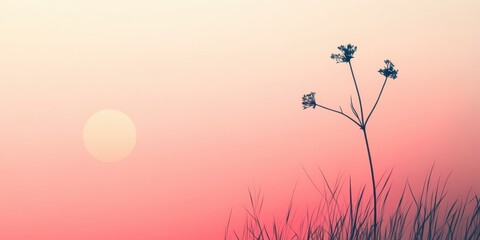 Obraz premium Silhouetted plant against a sunset sky