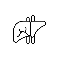 Human liver icon simple vector symbol