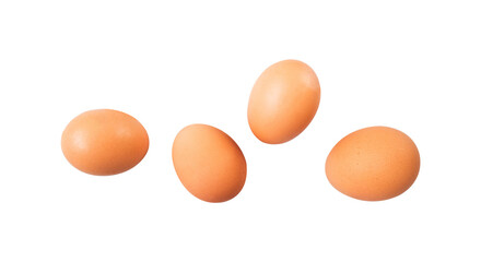 chicken eggs isolated on white
