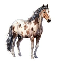 Obraz premium Winter Horse Clipart Vector Illustration