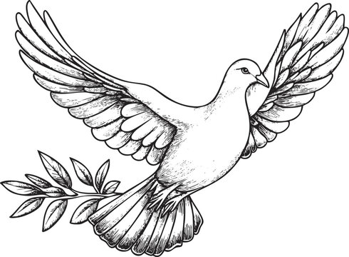 Black and white illustration of a dove with an olive branch.