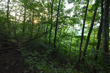 Obraz premium Climbing Mt. Aizu-Komagatake, Fukushima