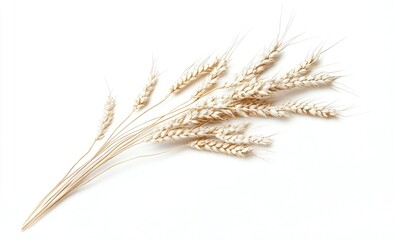 Wheat flour and grains on white, showcasing a pile of flour with an ear of wheat beside it, natural agricultural elements. Bakery ingredient