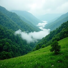 Fototapeta premium Mist rises from the valley floor, veiling the landscape in mystery, nature, green, foliage