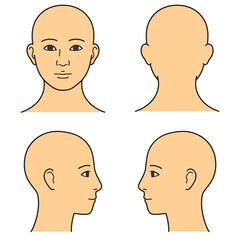 顔　前後左右　カラー