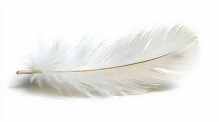 Obraz premium Single White Feather Lies Gently on a White Background, Soft and Delicate