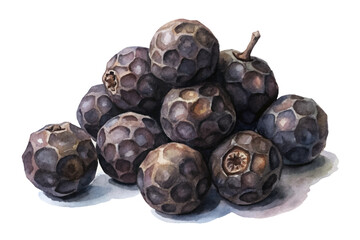 Watercolor illustration, dark berries, natural textures, artistic design, food concept, botanical art, organic elements.