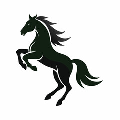 horse isolated on white