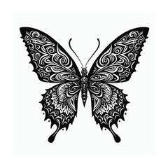 Butterfly illustration isolated on white background