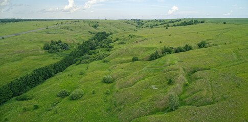 Large field of grass with a few trees in the background