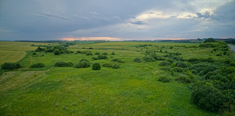 Obraz premium Large field of grass with a few trees in the background