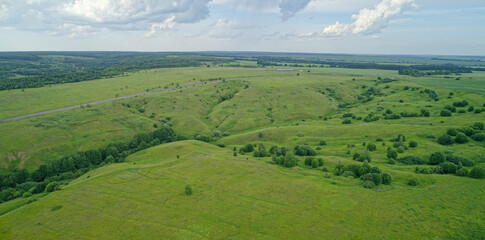 Obraz premium Large field of grass with a few trees in the background