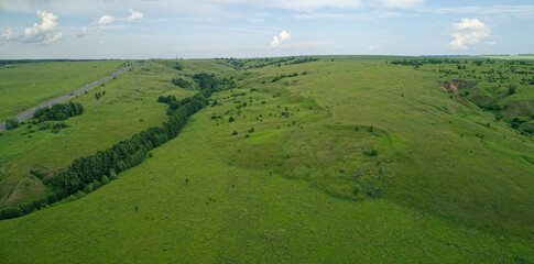 Obraz premium Large field of green grass with a road running through it