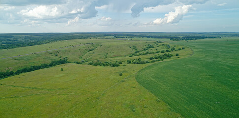 Large green field with a few trees in the background