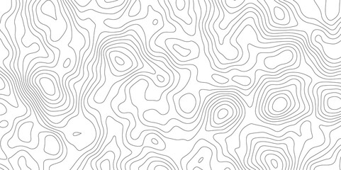 white topographic lines background contour lines wallpaper