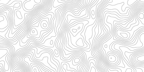 white topographic lines background contour lines wallpaper