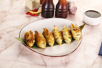 Fried Japanese stuffed dumplings - Gyoza