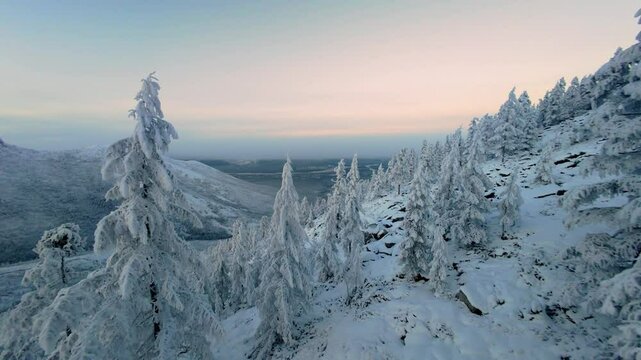 Snow-covered trees blanket the mountainside as the sun sets, creating a tranquil winter atmosphere in a serene wilderness. The quiet beauty captures the essence of nature at dusk.