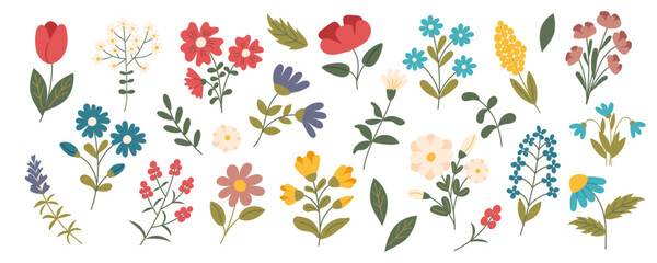 Collection of flowers isolated on white. Hand drawn botanical set of flowers. Nature, spring, summer, Ester, holiday concept.