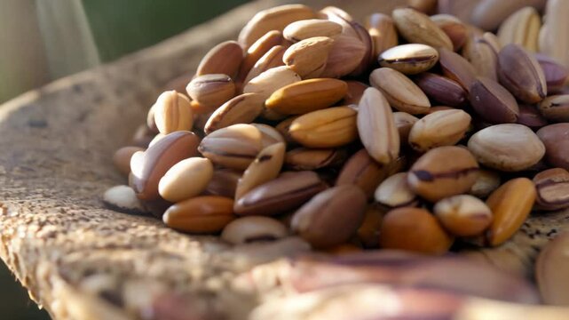 Pan right video establishing a handful of anasazi beans, each with a unique mottled appearance, cupped in a rustic palm, diffused light enhances their color