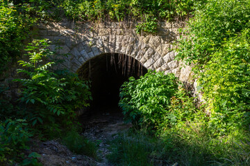 Overgrown stone archway leads into a hidden tunnel surrounded by vibrant greenery