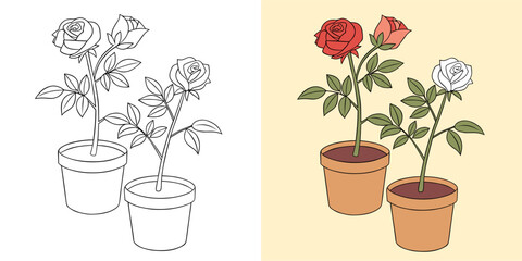 Potted Roses in Both Outlined and Colored Styles Depicting Artistic Creativity