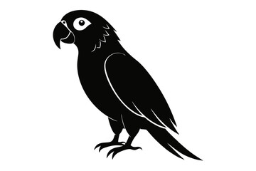 parrot  silhouette vector illustration