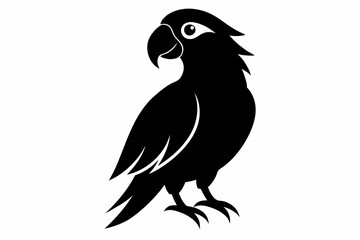 parrot  silhouette vector illustration