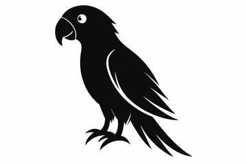 parrot  silhouette vector illustration