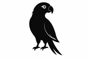 parrot  silhouette vector illustration