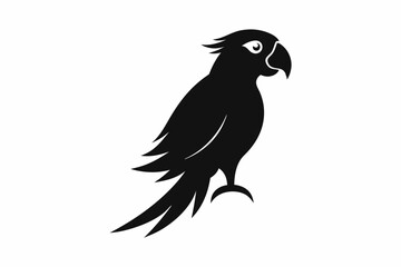 parrot  silhouette vector illustration