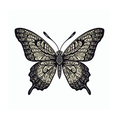 Butterfly illustration isolated on white background