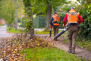 Ramassage de feuilles dans une ville en automne