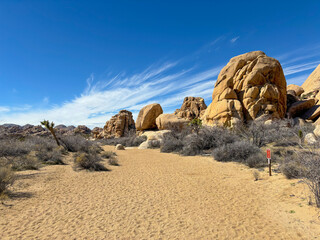 Desert landscape of the joshua tree national park, California