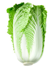 Chinese cabbage isolated